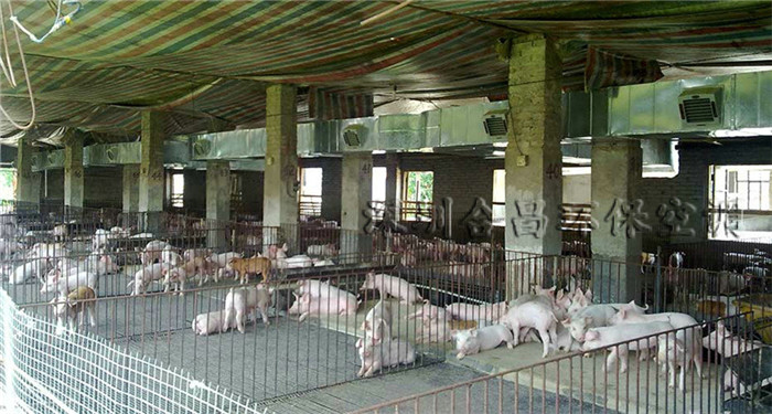 潤東方環?？照{養豬場降溫工程